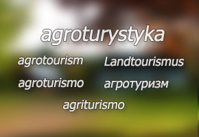 Agroturystyka Budziszek