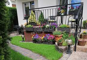 Komfortowe Pokoje Na Spokojnej