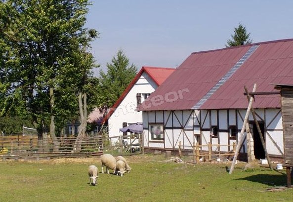 Dom Weselny Pod Dobrym Aniołem
