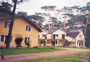 Dom Gościnny W Lesie