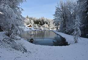 Domki Całoroczne El Coyote z wędkowaniem