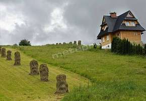 Apartamenty Witów