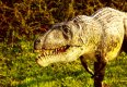 Park Dinozaurów i Rozrywki DINOLANDIA w Inwałdzie