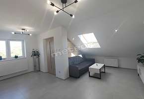 Agroturystyka Tęczowa Dolina