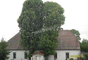 Agroturystyka Cyprinus 