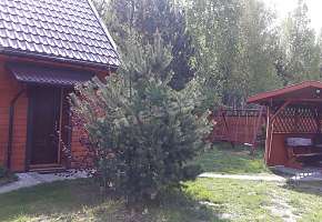 Agroturystyka Pod Lasem- Domki z sauną i balią