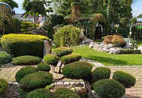 Klaudia - Willa w Centrum