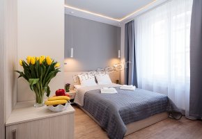 Platinia Apartments Kraków Stare Miasto