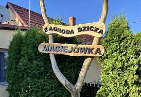 Agroturystyka Zagroda Dzicza - Maciejówka