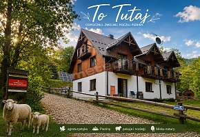 ToTutaj