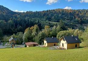 ilustracja - "Leśny Dzban"