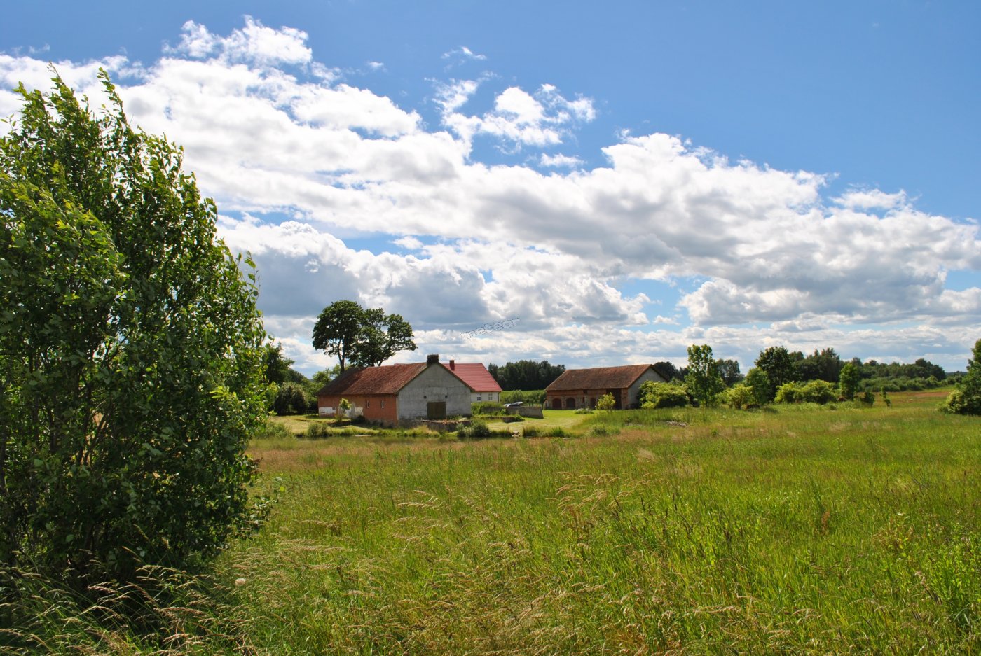 Siedlisko Jagiele