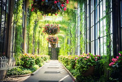 Palmiarnia w Poznaniu