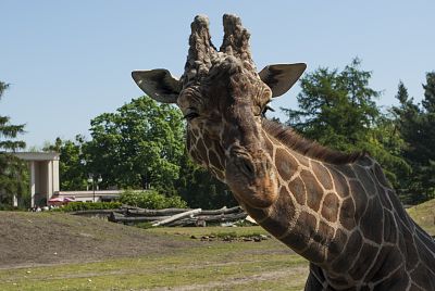 Ogród Zoologiczny we Wrocławiu