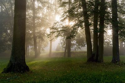 Park Konstytucji 3 maja w Białymstoku