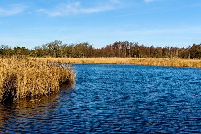 Zatoka Wrzosowska w Dziwnowie