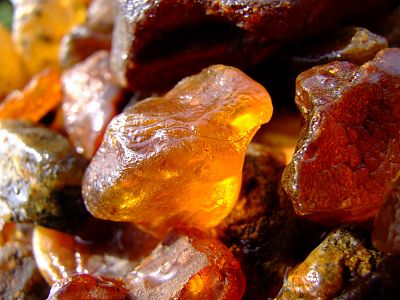 Muzeum Bursztynu w Jarosławcu