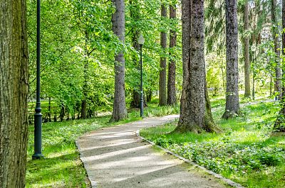 Park Zdrojowy w Jeleniej Górze