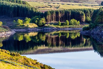 Rezerwat Przyrody Ślichowice im. Jana Czarnockiego w Kielcach