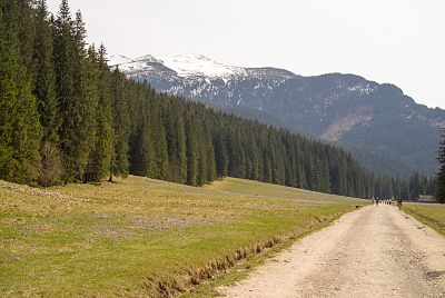 Droga Królewska w Kościelisku
