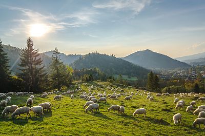 Szlaki turystyczne w Pieninach