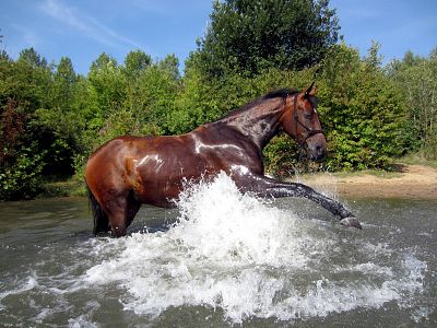 Jazda konna w Okunince