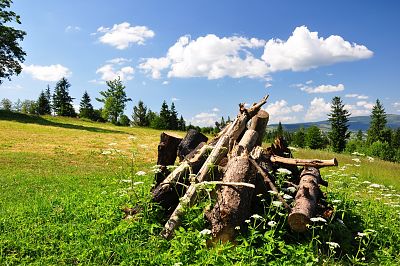 Park Krajobrazowy Beskidu Śląskiego