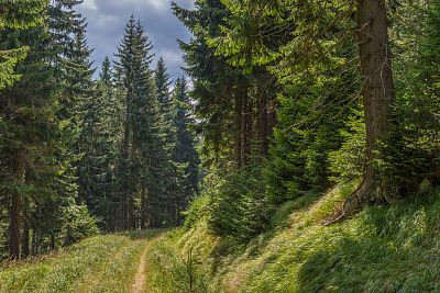 Szlaki turystyczne w Sudetach
