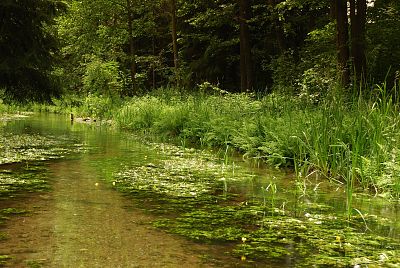 Wigierski Park Narodowy