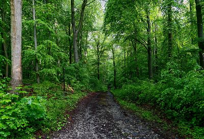 Babiogórski Park Narodowy