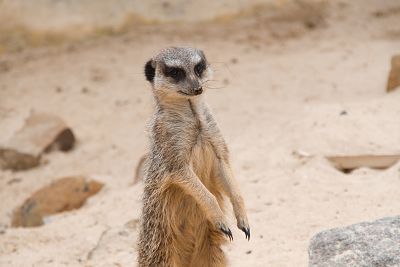 Ogród Zoologiczny w Płocku
