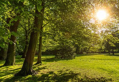 Park Zadole w Katowicach