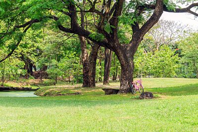 Park im. Księcia Józefa Poniatowskiego w Łodzi