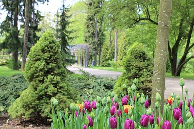 Ogród Botaniczny w Szczecinie