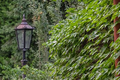 Park Mikołaja Kopernika we Wrocławiu