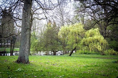 Oliwa Park w Gdańsku