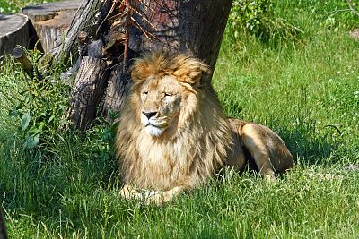 Ogród Zoologiczny w Gdańsku