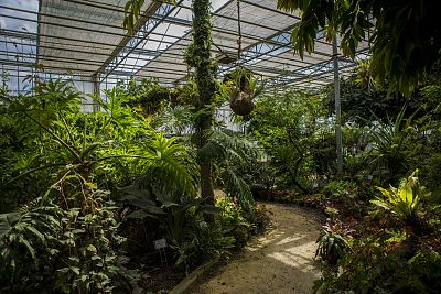 Ogród Botaniczny PAN w Powsinie