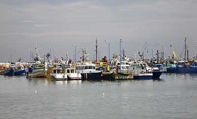 Port morski Władysławowo