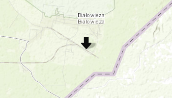 Białowieskie drezyny