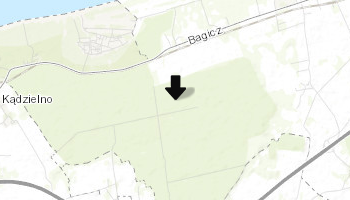 Dąb Bolesław i Warcisław w Ustroniu Morskim