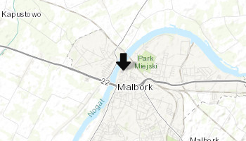 Figura Madonny w Malborku