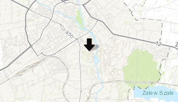 Kaliski Gród Piastów