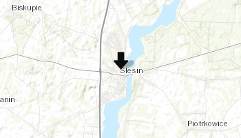 Kościół Dobrego Pasterza i Św. Mikołaja w Ślesinie