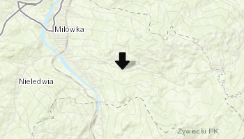 Leśny Gród w Milówce