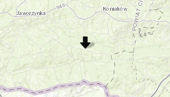 Muzeum Świerka Istebniańskiego w Istebnej