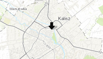 Pałac Puchalskich w Kaliszu