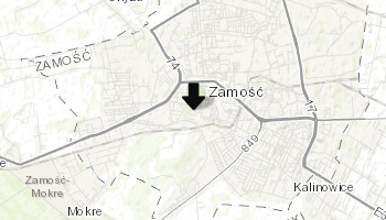 Pałac Zamoyskich w Zamościu
