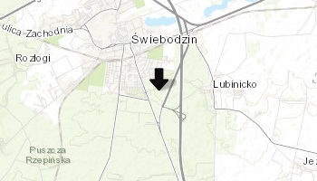 Pomnik Chrystusa Króla w Świebodzinie