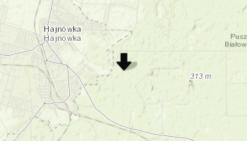 Puszcza Białowieska